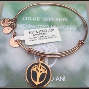 Alex + Ani *Retired* Unexpected Miracles Bangle
